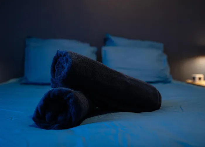 Apartment L'ecrin Bleu - Ideal Couple & Professionnels - Localisation Ideal Centre-ville Et Gare - Wifi - Netflix